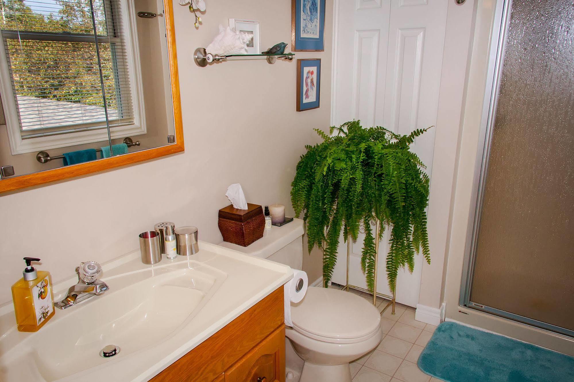 يمنجتون Point Pelee Lakeshore B&B المظهر الخارجي الصورة