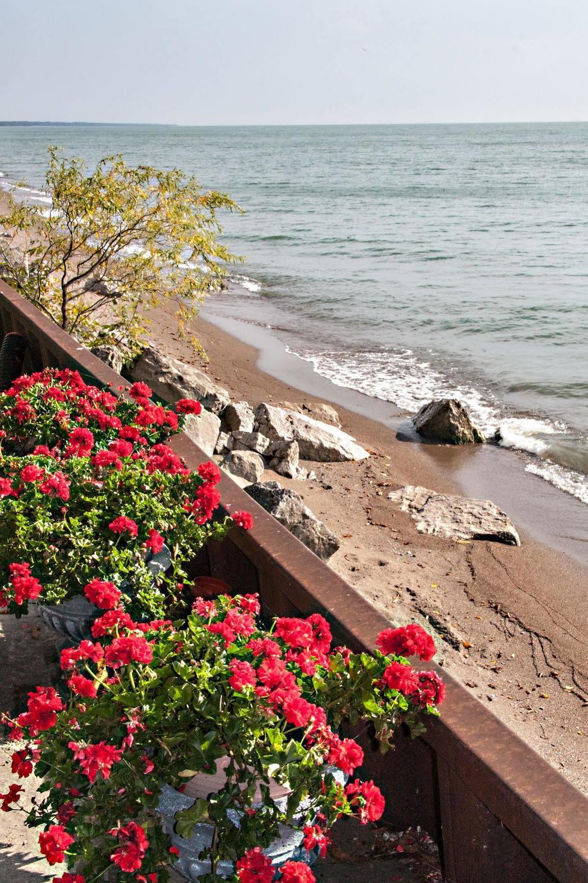 يمنجتون Point Pelee Lakeshore B&B المظهر الخارجي الصورة